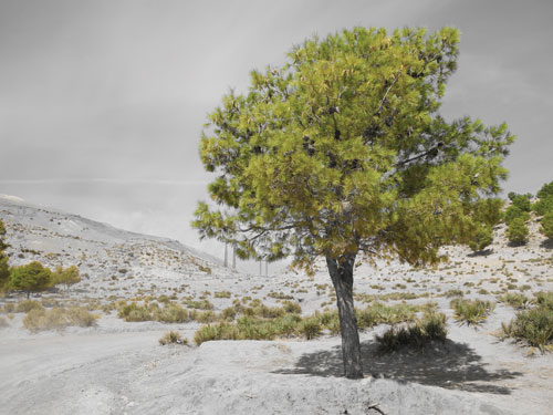 Filtr &bdquo;selektywny kolor&rdquo; umo�liwia wyselekcjonowanie jednej barwy. W tym przypadku by�y to odcienie zieleni. Zdj�cie wykonane w&nbsp;g&oacute;rach w&nbsp;okolicach Marakeszu.